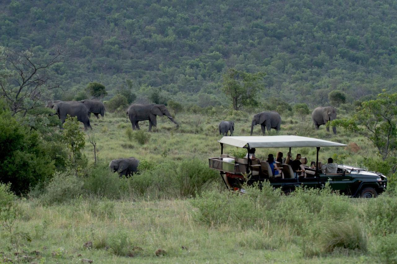 Inzalo Safari Lodge Welgevonden Game Reserve Exterior photo