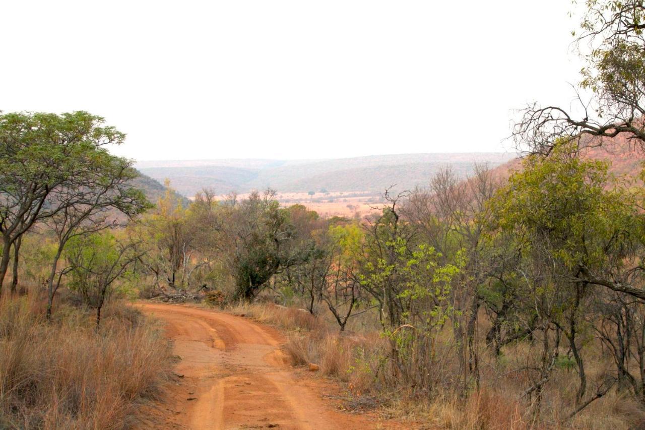 Inzalo Safari Lodge Welgevonden Game Reserve Exterior photo